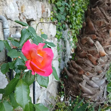 Apartman Daja Menton