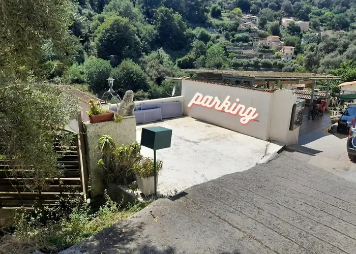 Daja