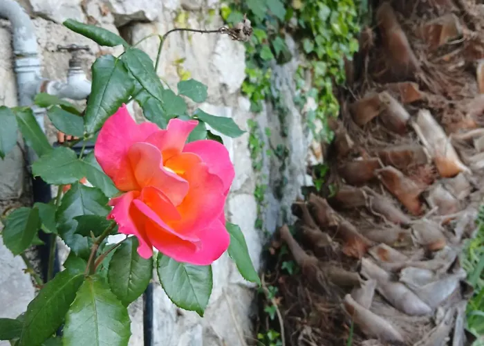 Apartmán Daja Menton